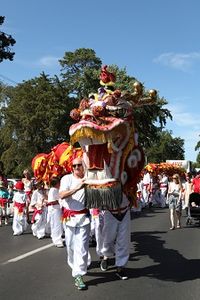 Begonia Festival 2013